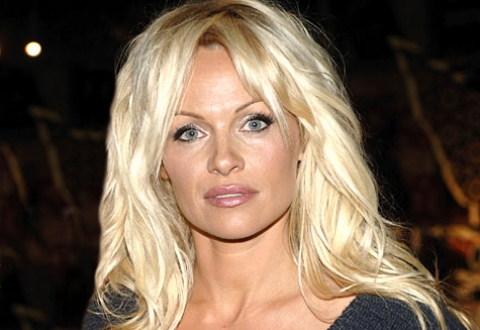 European Auto Racing on Pamela Anderson Forms Auto Racing Team   News Am Sport   All About