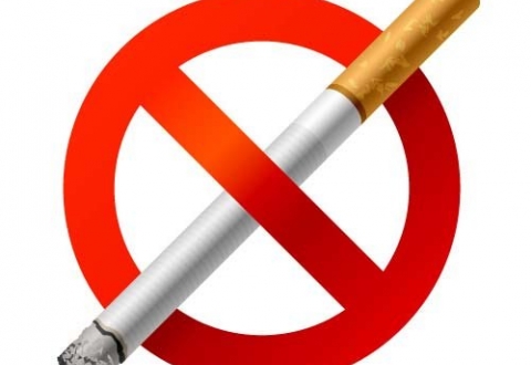 Курение будет запрещено на территории стадионов чемпионата Европы по футболу-2016